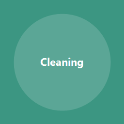 Cleaning Essentials